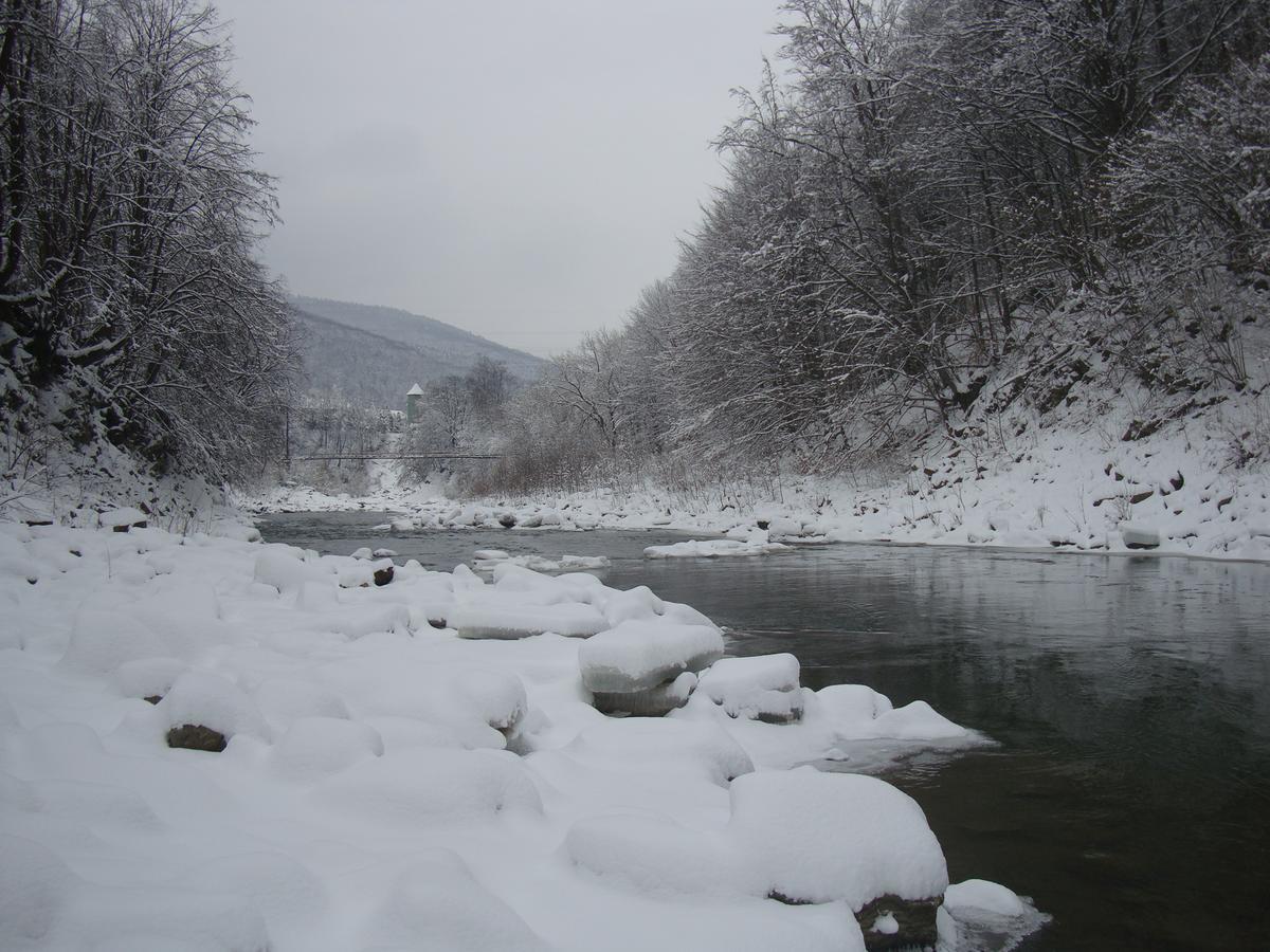 Котедж Гірський Yaremche Exterior photo